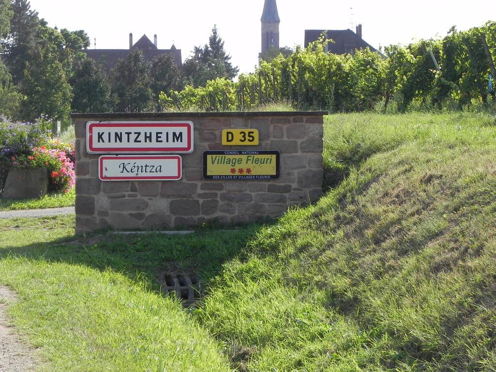 Le Nid De Cigognes Kintzheim 빌라 객실 사진